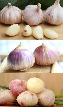 大蒜圖片細節(jié)