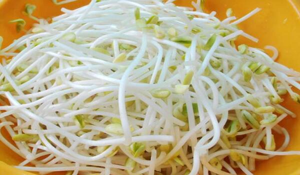 優(yōu)質綠豆芽
