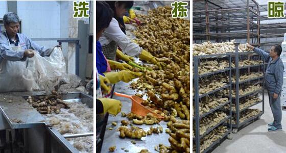不用硫磺如何清洗生姜？